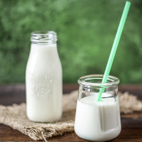 Fresh Buffalo And Cow Milk – Pure & Creamy