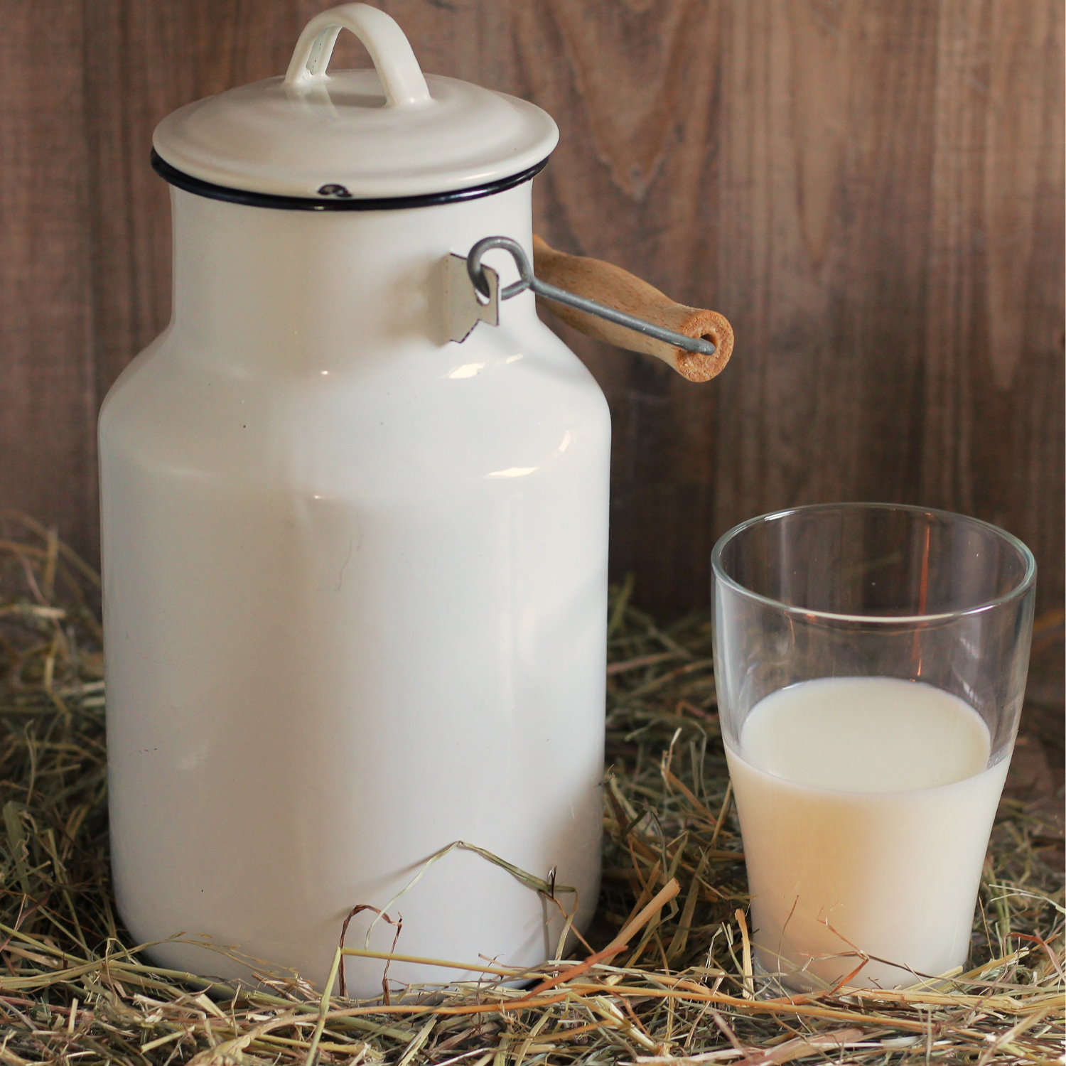 Fresh Buffalo Milk – Pure & Creamy