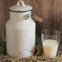 Fresh Buffalo And Cow Milk – Pure & Creamy